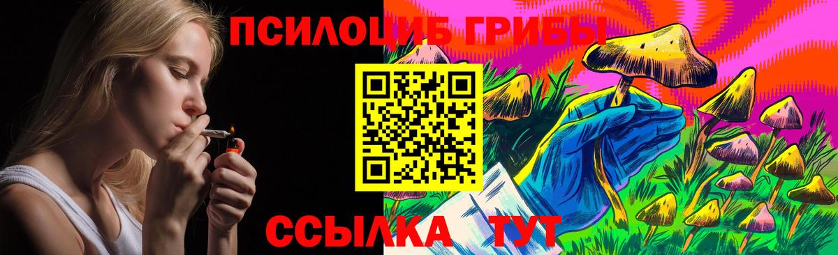 купить наркотики цена  Галлюциногенные грибы Psilocybine cubensis  Вход с VPN  Галлюциногенные грибы мухоморы  Холмск 