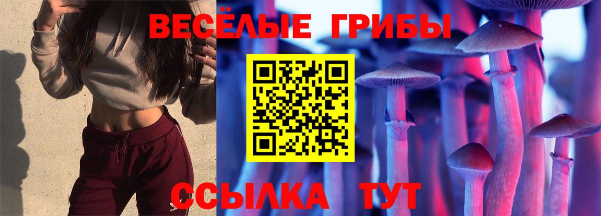 Галлюциногенные грибы Cubensis Холмск